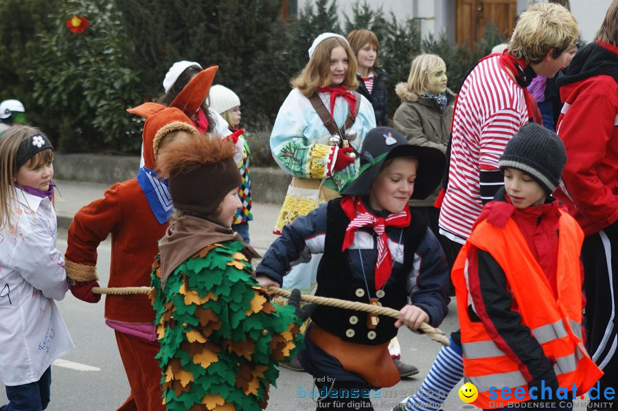 Narrenbaumstellen: Orsingen am Bodensee, 29.01.2011