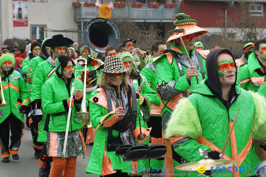 Narrenbaumstellen: Orsingen am Bodensee, 29.01.2011