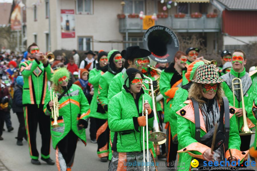 Narrenbaumstellen: Orsingen am Bodensee, 29.01.2011