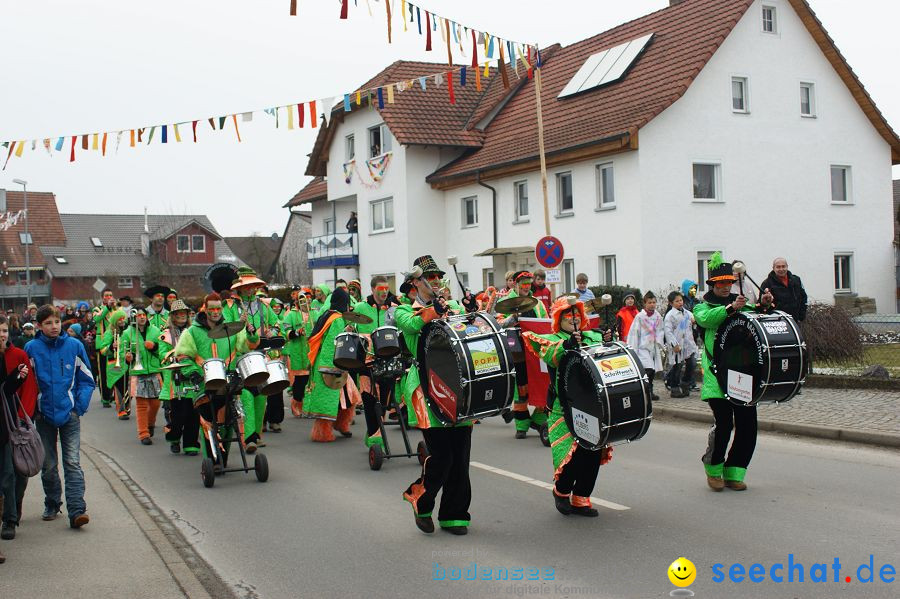 Narrenbaumstellen: Orsingen am Bodensee, 29.01.2011