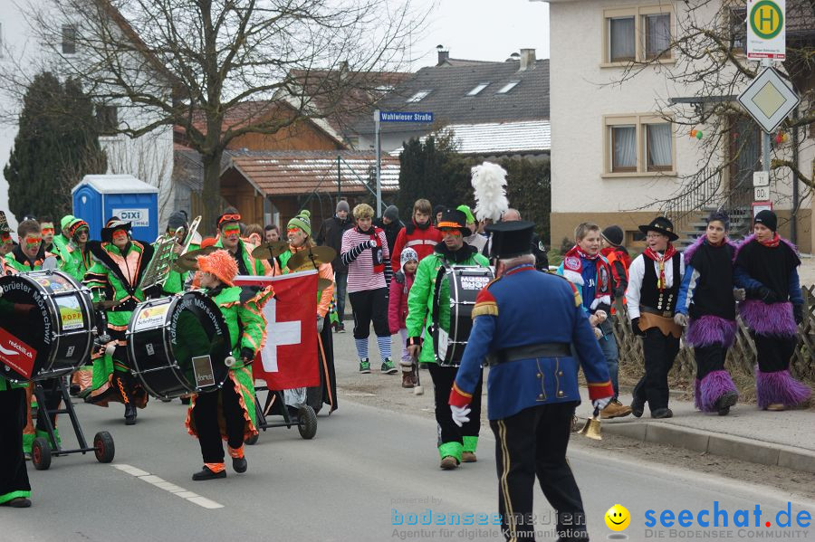 Narrenbaumstellen: Orsingen am Bodensee, 29.01.2011