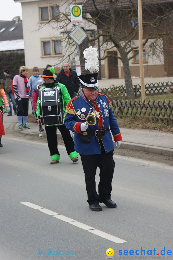 Narrenbaumstellen: Orsingen am Bodensee, 29.01.2011