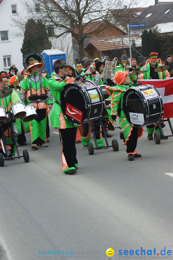 Narrenbaumstellen: Orsingen am Bodensee, 29.01.2011