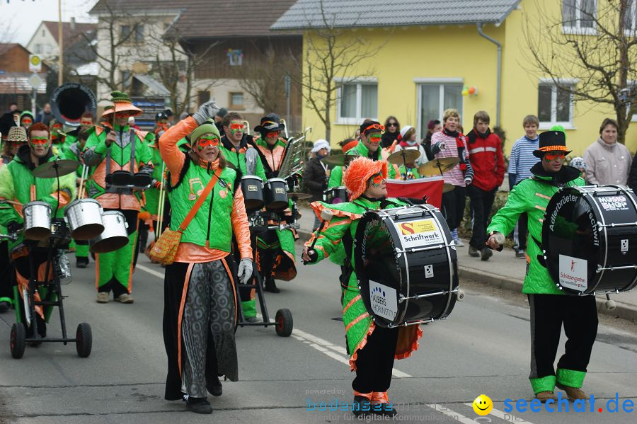 Narrenbaumstellen: Orsingen am Bodensee, 29.01.2011