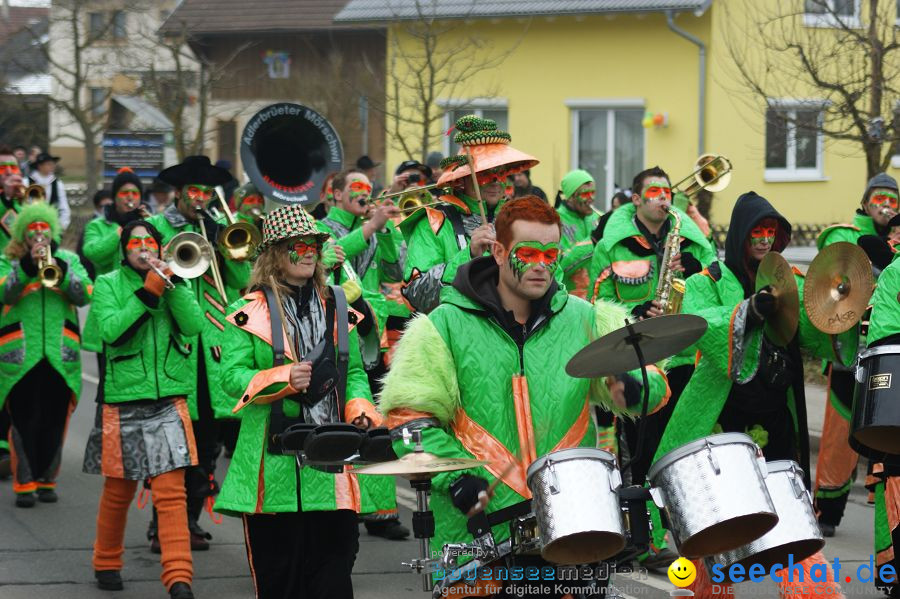 Narrenbaumstellen: Orsingen am Bodensee, 29.01.2011