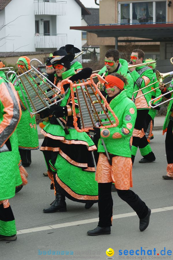 Narrenbaumstellen: Orsingen am Bodensee, 29.01.2011