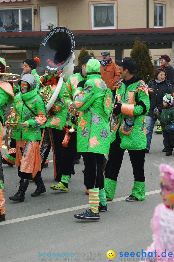 Narrenbaumstellen: Orsingen am Bodensee, 29.01.2011