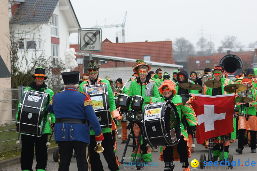 Narrenbaumstellen: Orsingen am Bodensee, 29.01.2011