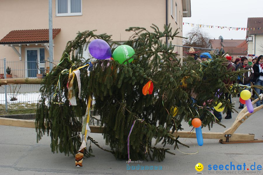 Narrenbaumstellen: Orsingen am Bodensee, 29.01.2011