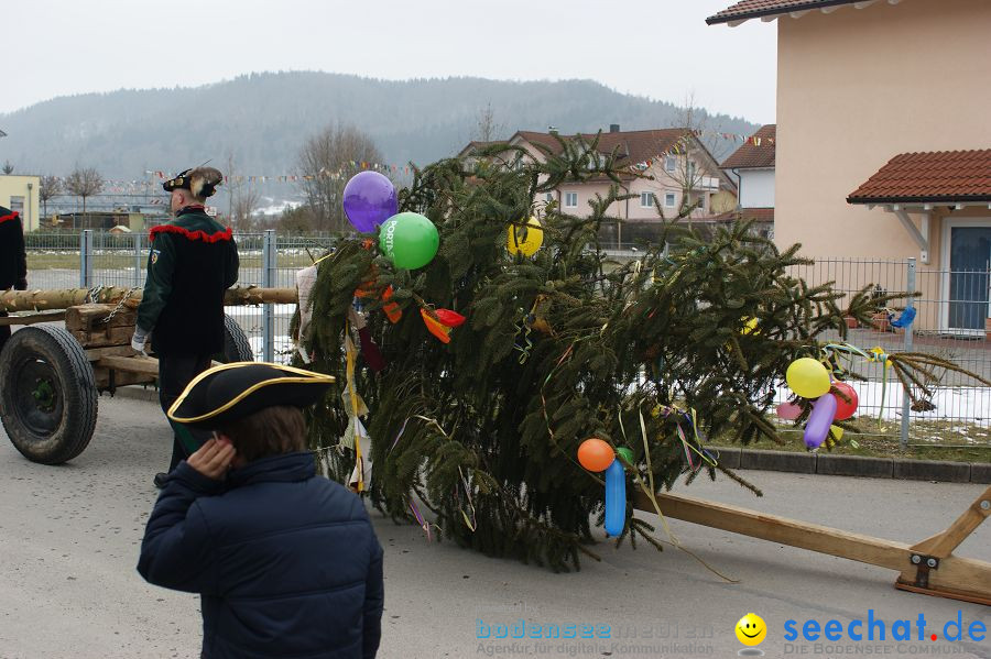 Narrenbaumstellen: Orsingen am Bodensee, 29.01.2011