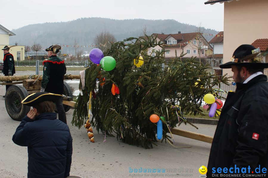 Narrenbaumstellen: Orsingen am Bodensee, 29.01.2011