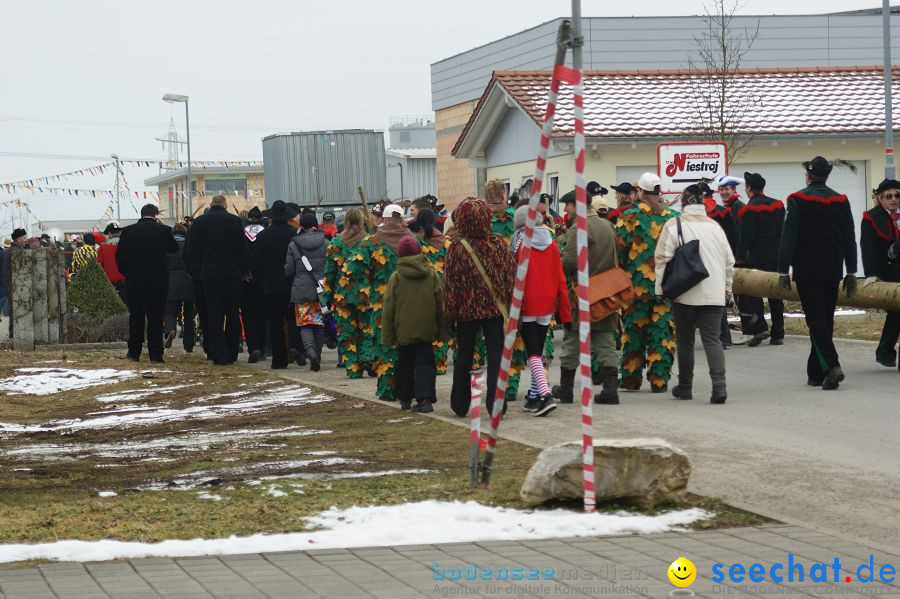 Narrenbaumstellen: Orsingen am Bodensee, 29.01.2011