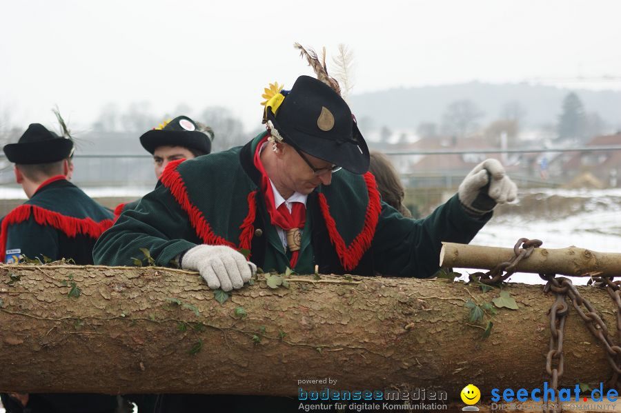 Narrenbaumstellen: Orsingen am Bodensee, 29.01.2011