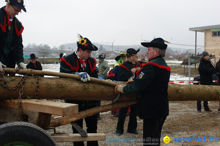 Narrenbaumstellen: Orsingen am Bodensee, 29.01.2011