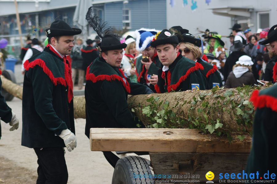 Narrenbaumstellen: Orsingen am Bodensee, 29.01.2011