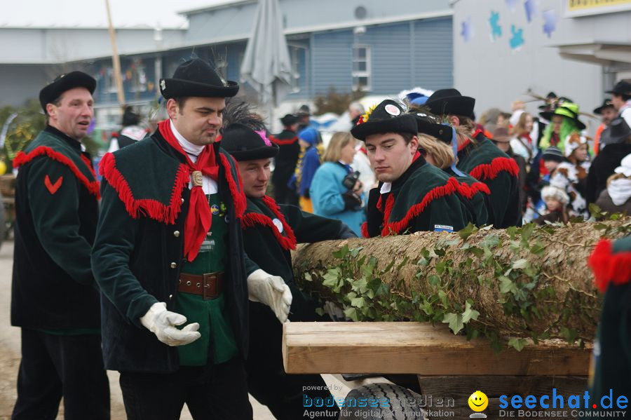 Narrenbaumstellen: Orsingen am Bodensee, 29.01.2011