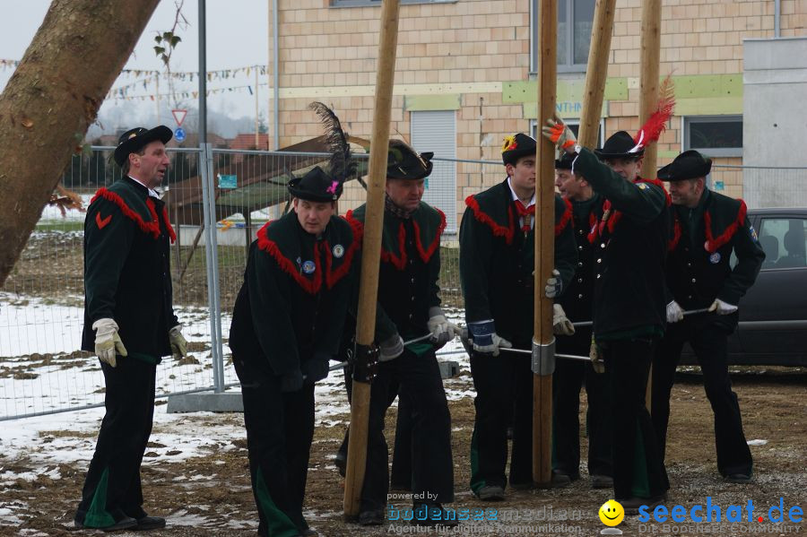 Narrenbaumstellen: Orsingen am Bodensee, 29.01.2011