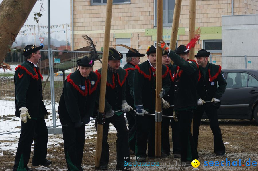 Narrenbaumstellen: Orsingen am Bodensee, 29.01.2011