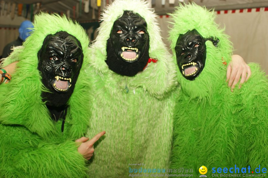 Narrentreffen - Festzelt: Orsingen am Bodensee, 29.01.2011