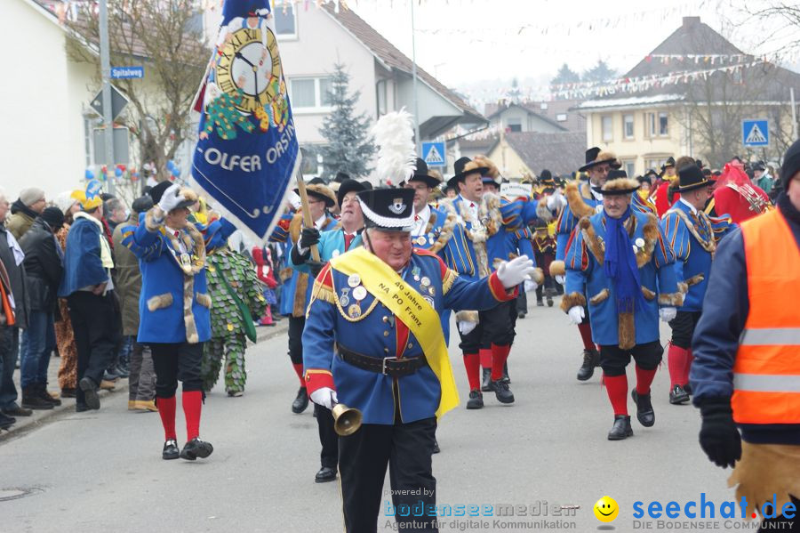 Narrenumzug: Orsingen am Bodensee, 30.01.2011