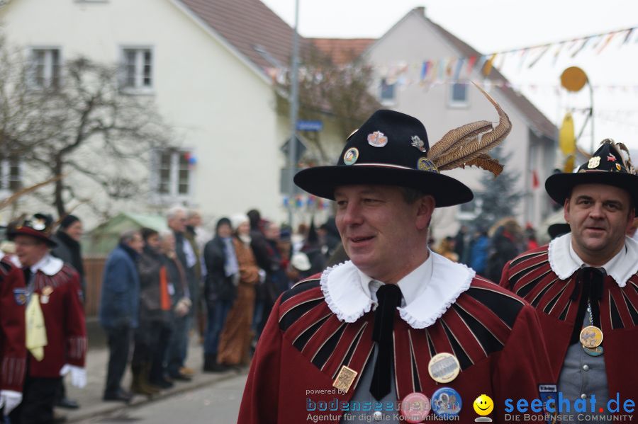 Narrenumzug: Orsingen am Bodensee, 30.01.2011