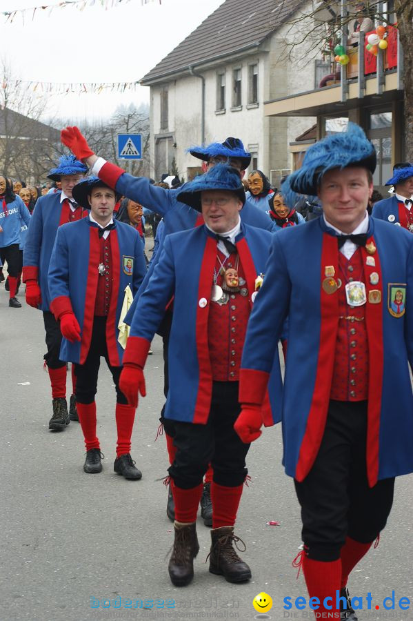 Narrenumzug: Orsingen am Bodensee, 30.01.2011