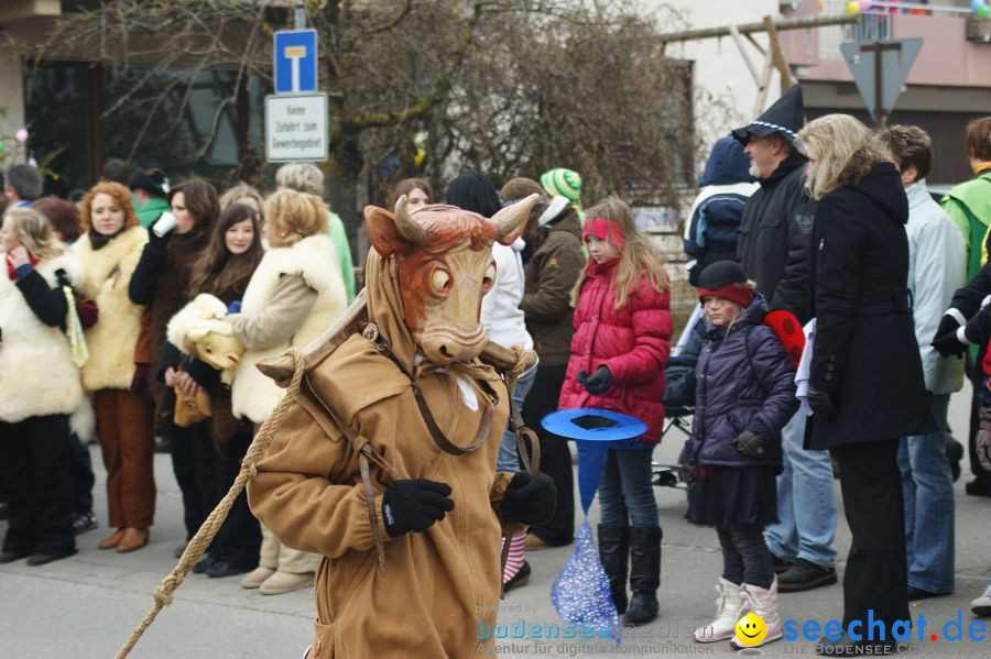 Narrenumzug: Orsingen am Bodensee, 30.01.2011