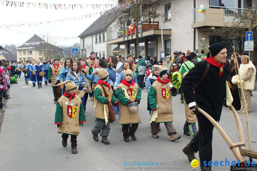 Narrenumzug: Orsingen am Bodensee, 30.01.2011