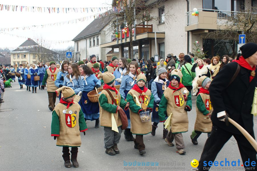 Narrenumzug: Orsingen am Bodensee, 30.01.2011