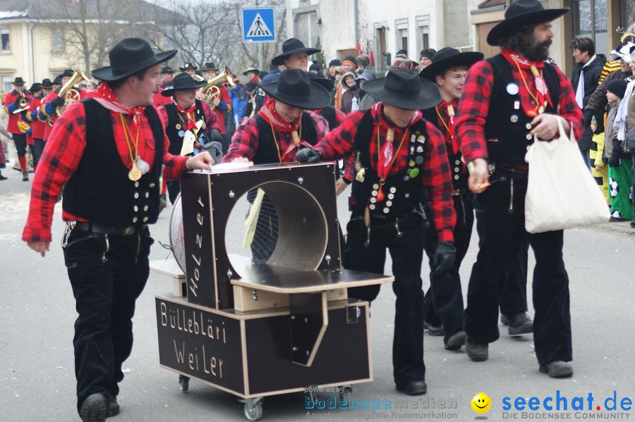 Narrenumzug: Orsingen am Bodensee, 30.01.2011