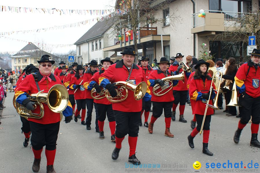 Narrenumzug: Orsingen am Bodensee, 30.01.2011