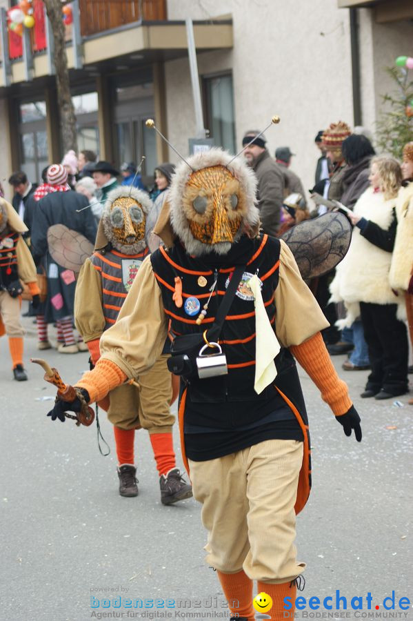 Narrenumzug: Orsingen am Bodensee, 30.01.2011