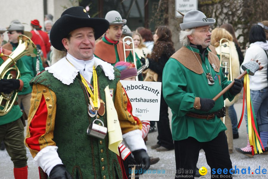 Narrenumzug: Orsingen am Bodensee, 30.01.2011