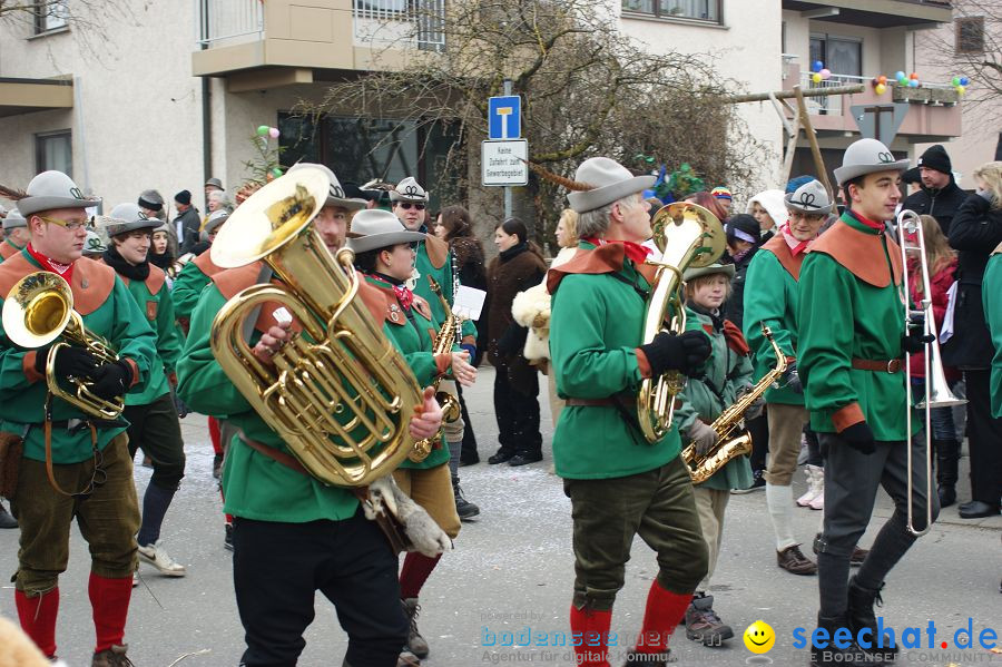 Narrenumzug: Orsingen am Bodensee, 30.01.2011