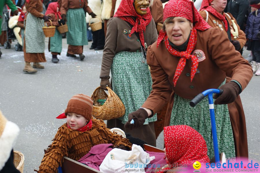 Narrenumzug: Orsingen am Bodensee, 30.01.2011