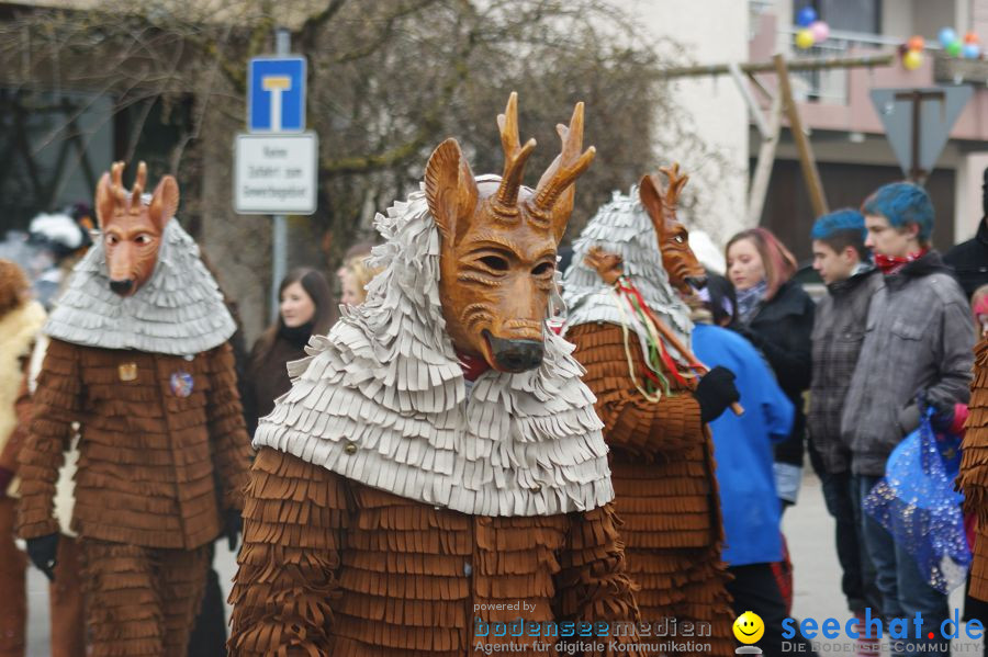 Narrenumzug: Orsingen am Bodensee, 30.01.2011