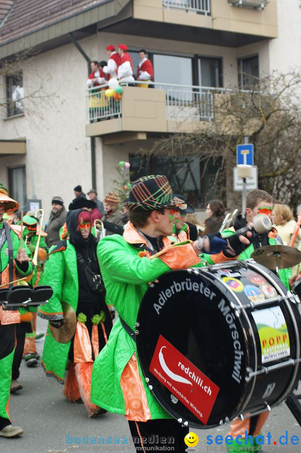 Narrenumzug: Orsingen am Bodensee, 30.01.2011