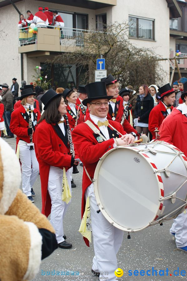 Narrenumzug: Orsingen am Bodensee, 30.01.2011