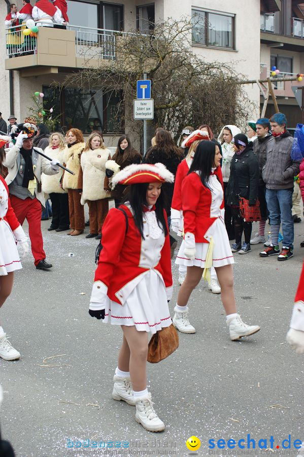 Narrenumzug: Orsingen am Bodensee, 30.01.2011