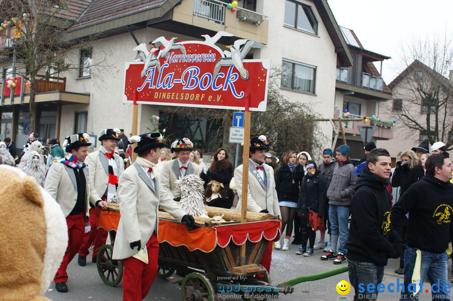 Narrenumzug: Orsingen am Bodensee, 30.01.2011