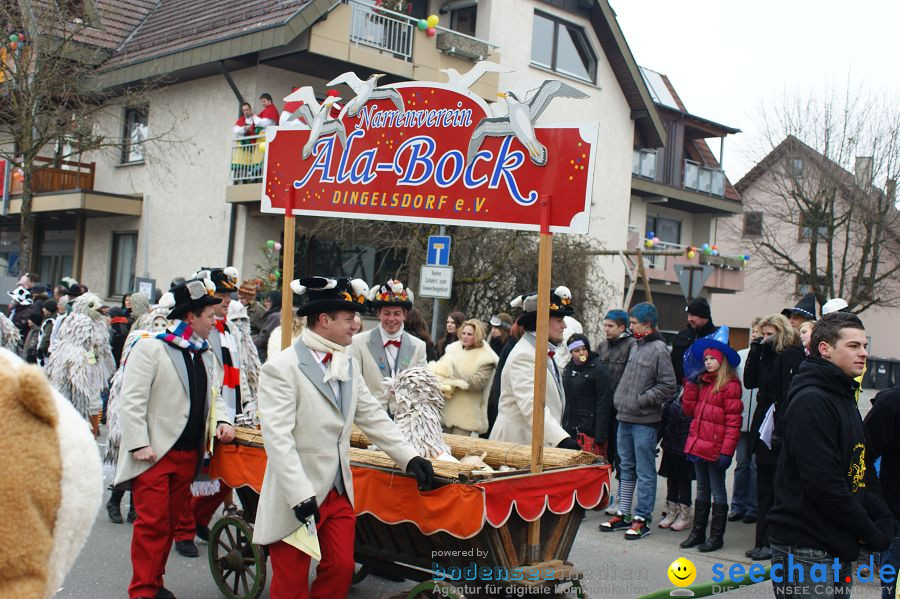 Narrenumzug: Orsingen am Bodensee, 30.01.2011