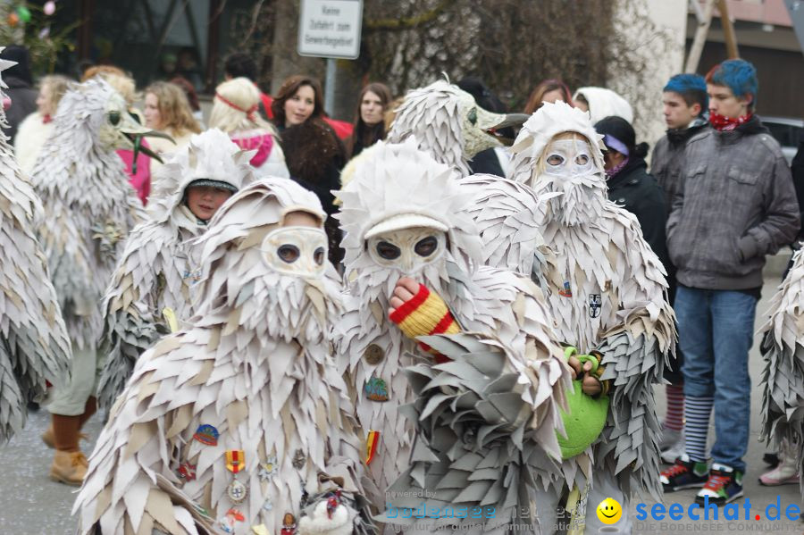 Narrenumzug: Orsingen am Bodensee, 30.01.2011