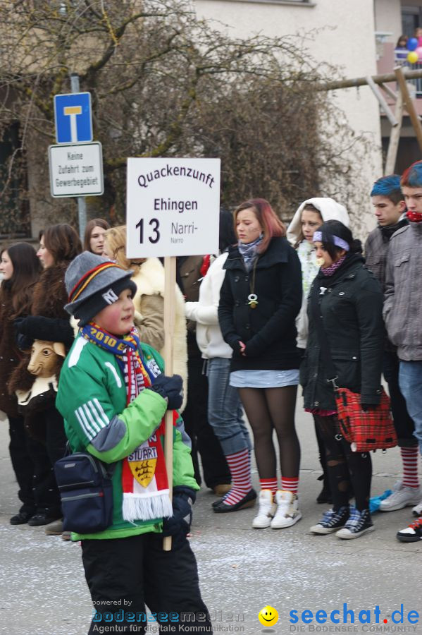 Narrenumzug: Orsingen am Bodensee, 30.01.2011