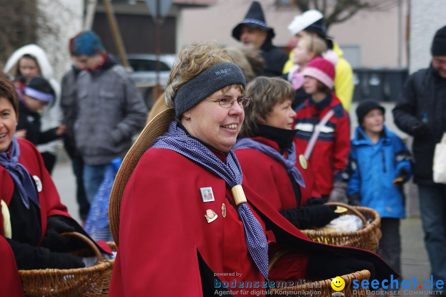 Narrenumzug: Orsingen am Bodensee, 30.01.2011