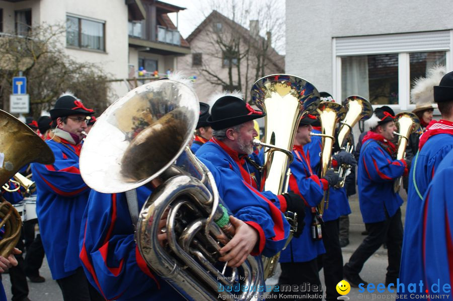 Narrenumzug: Orsingen am Bodensee, 30.01.2011