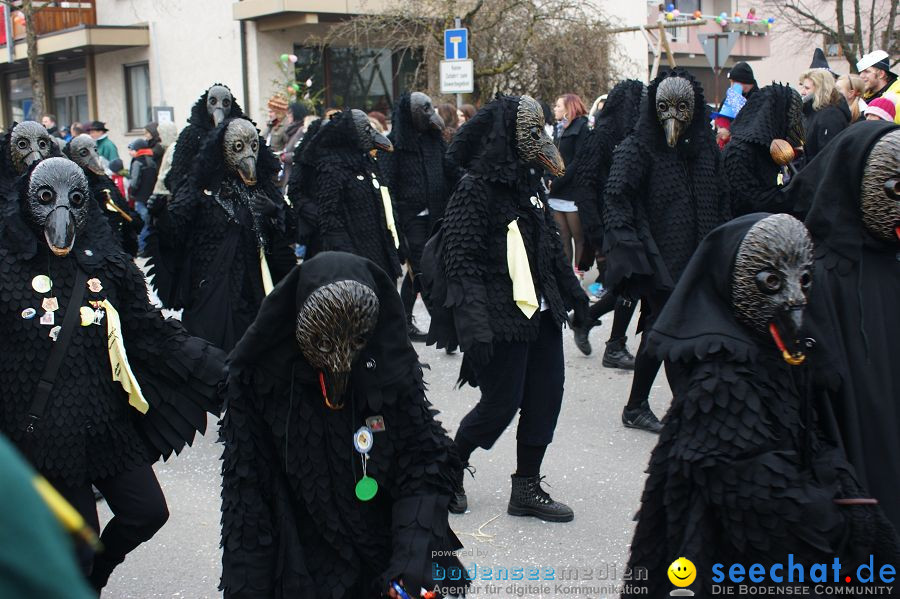 Narrenumzug: Orsingen am Bodensee, 30.01.2011