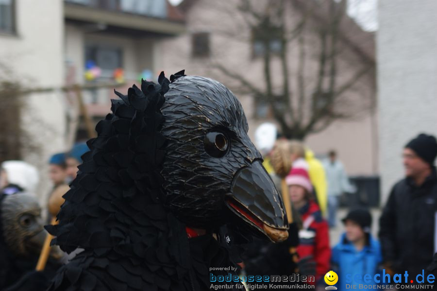 Narrenumzug: Orsingen am Bodensee, 30.01.2011