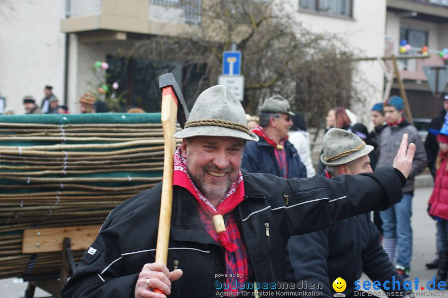 Narrenumzug: Orsingen am Bodensee, 30.01.2011