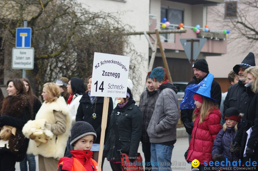 Narrenumzug: Orsingen am Bodensee, 30.01.2011