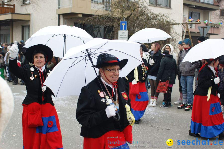 Narrenumzug: Orsingen am Bodensee, 30.01.2011